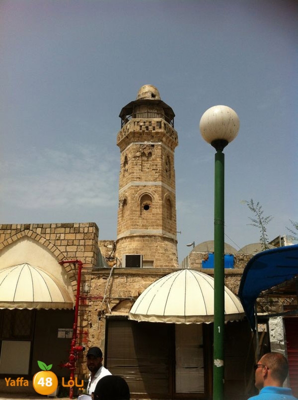 majdal3asqlan519 (7).JPG